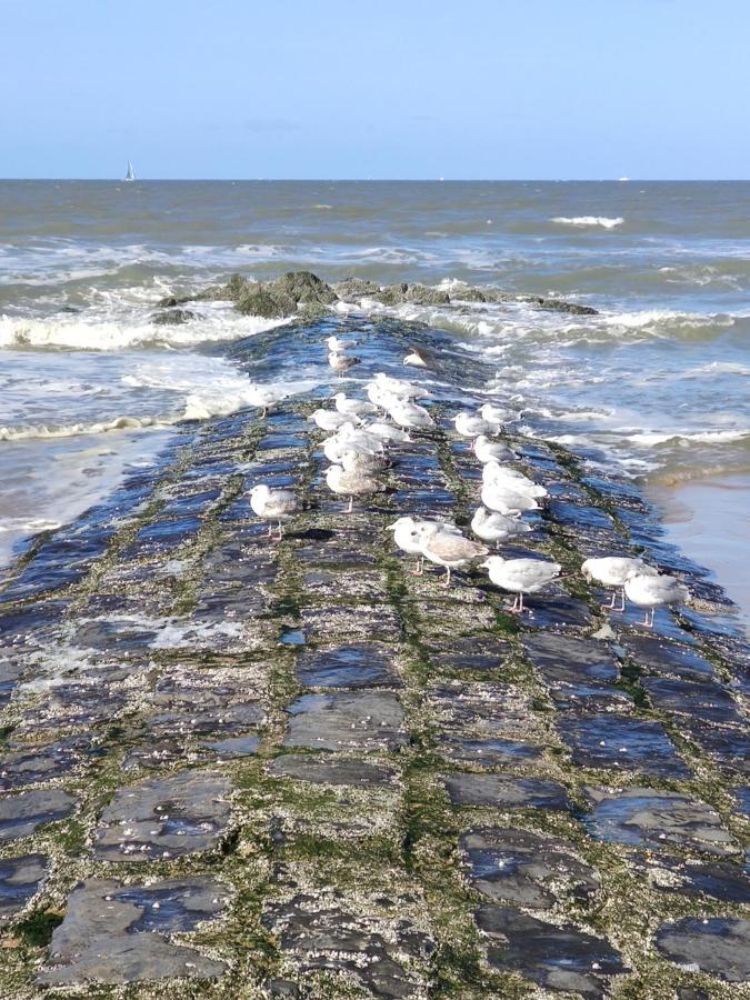 SeaBreak4you Bredene Dış mekan fotoğraf